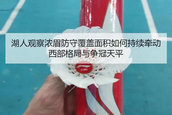 湖人观察浓眉防守覆盖面积如何持续牵动西部格局与争冠天平