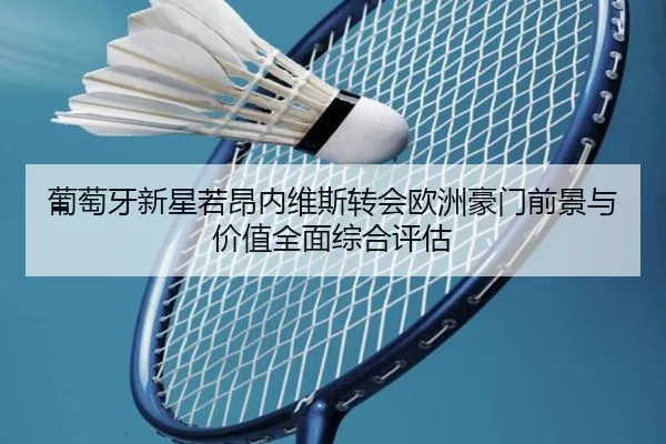 葡萄牙新星若昂内维斯转会欧洲豪门前景与价值全面综合评估